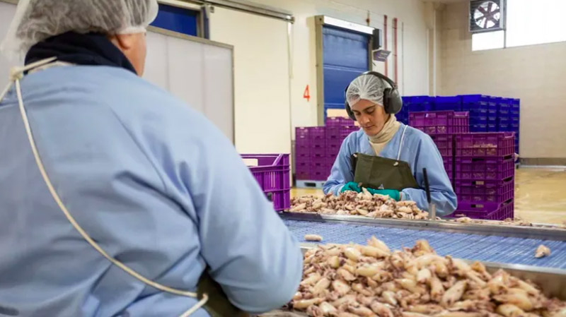 Las empresas relacionadas con el sector del mar alzan la voz por el incremento de precios de las materias primas